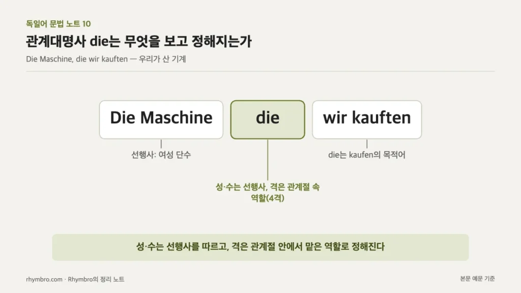 Die Maschine, die wir kauften 예문에서 관계대명사 die의 성·수와 격이 정해지는 근거를 표시한 문장 분석도