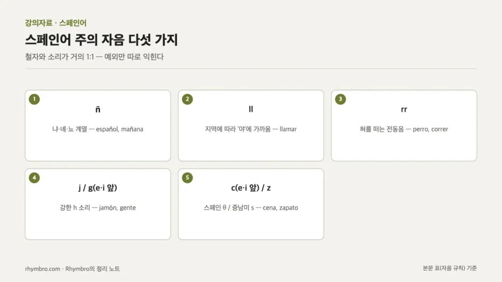 스페인어 자음 ñ, ll, rr, j와 g, c와 z의 소리 규칙과 예시 단어를 정리한 도식