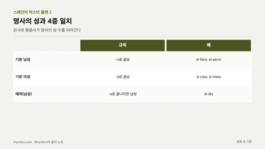 스페인어 명사의 기본 남성, 기본 여성, 예외 규칙과 예시를 정리한 표